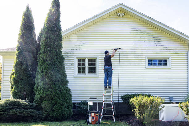 Best Fence Cleaning  in Toledo, OR